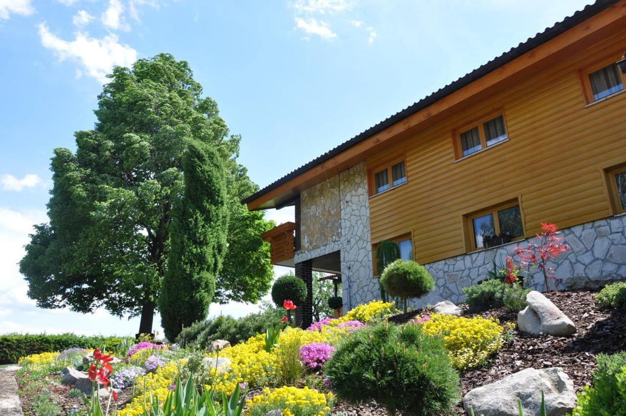 Guesthouse Dolinsek Sevnica Exterior photo