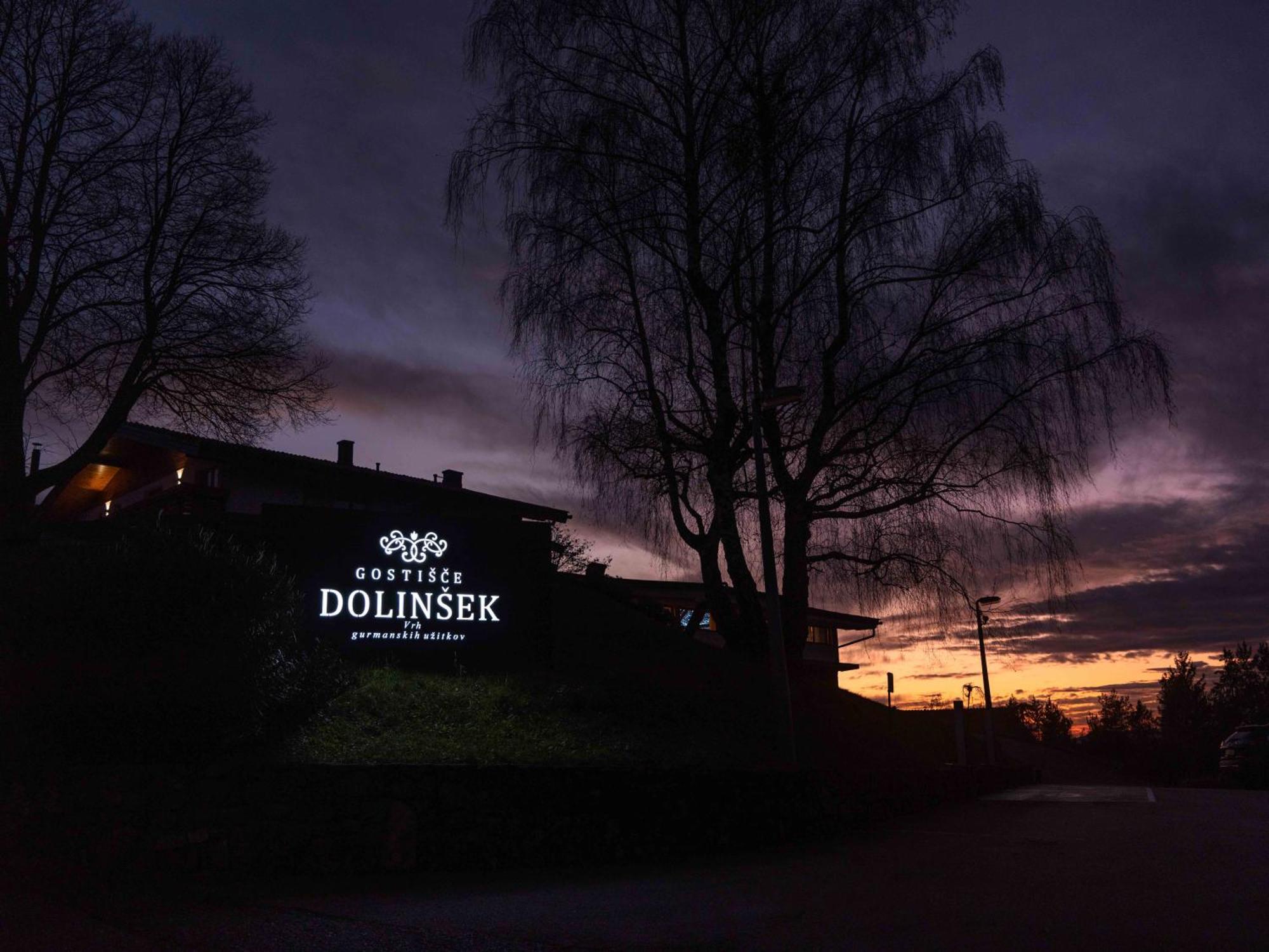 Guesthouse Dolinsek Sevnica Exterior photo